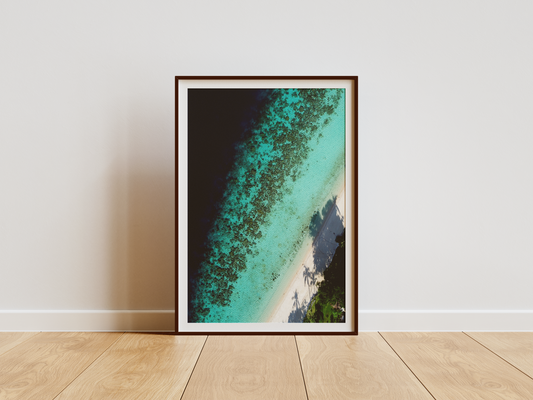 Shadow Reef